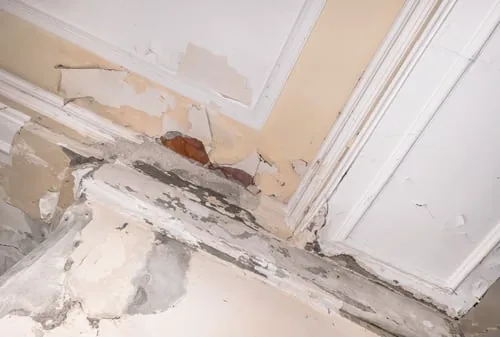 Patch It or Replace It? How to Read a Damaged Drywall Wall