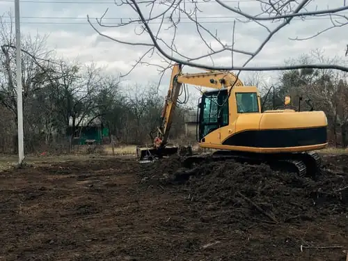 Brush & Land Clearing